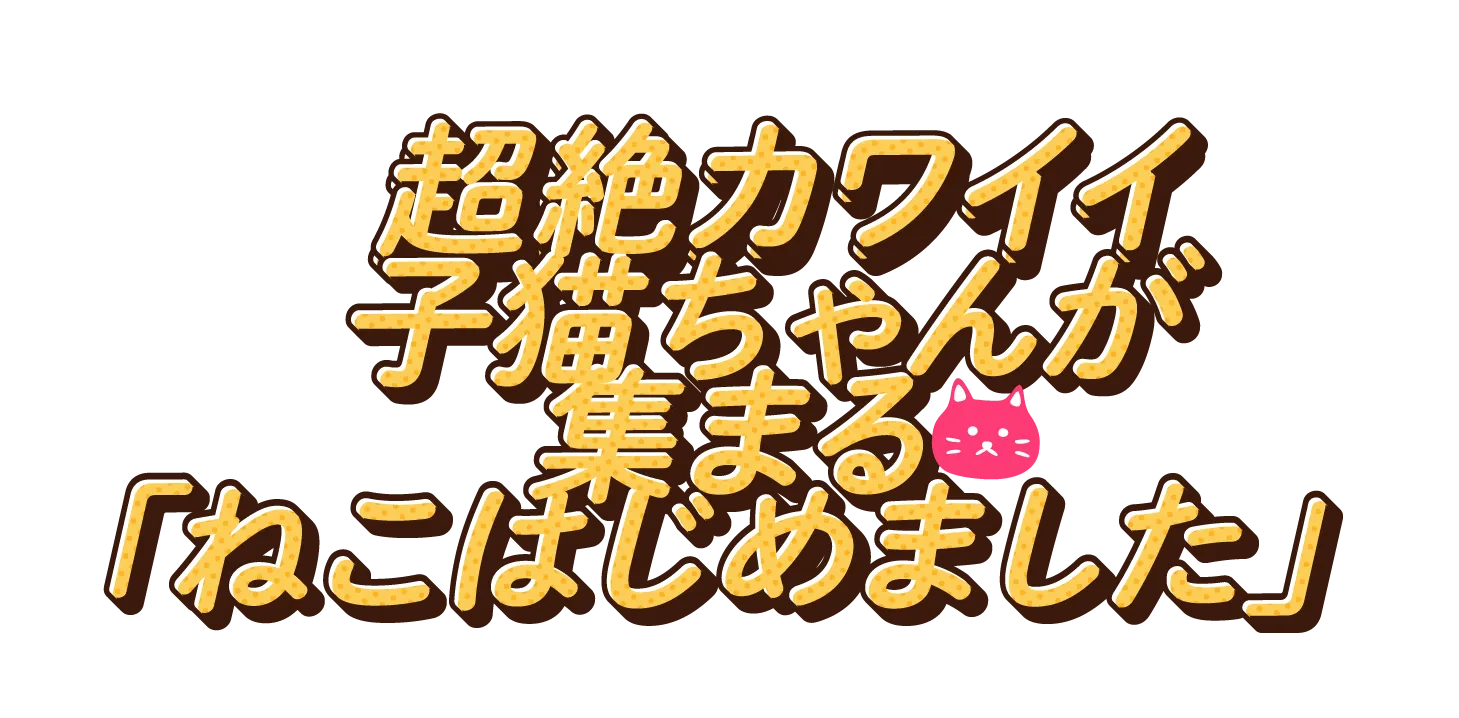 超絶カワイイ子猫ちゃんが集まるねこはじめました